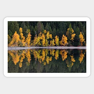 Autumn Reflections Sticker